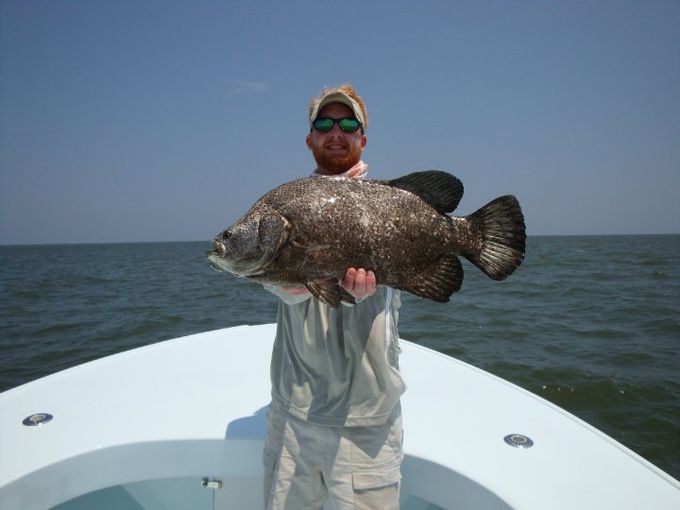 Angler holding a tripletail